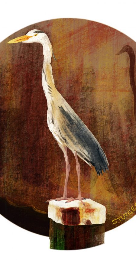 Heron
